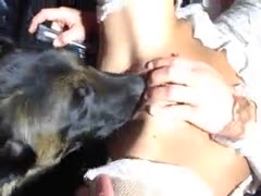 Huge black dog comes to lick juicy pussy of her crazy and perverted female owner 